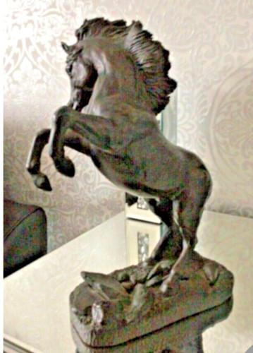 Beautiful stunning rare horse - rare,