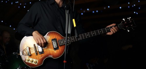 Epiphone viola string - viola, 4-string