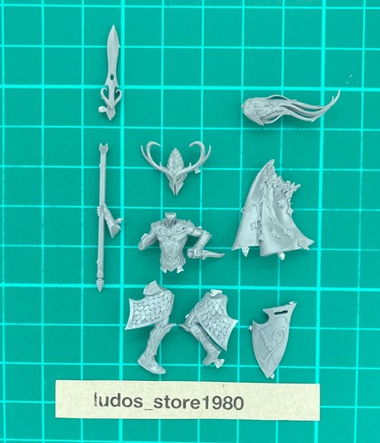 Wild rider warhammer the - warhammer, old