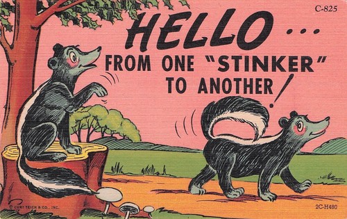 Vintage comic postcard - vintage,