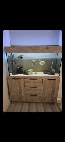 Aqua one 250ltr aquarium full - aqua,