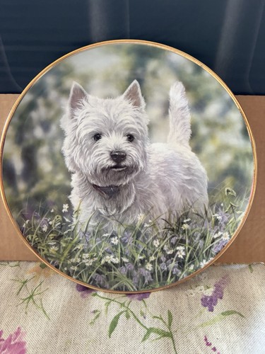 Danbury mint westies paul - danbury,