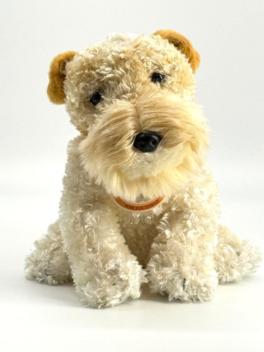 Wire fox terrier - fox,