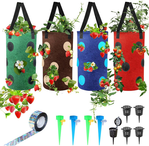Upside down tomato planter - upside, planter-
