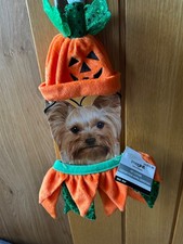 Dog Halloween Pumpkin Costume