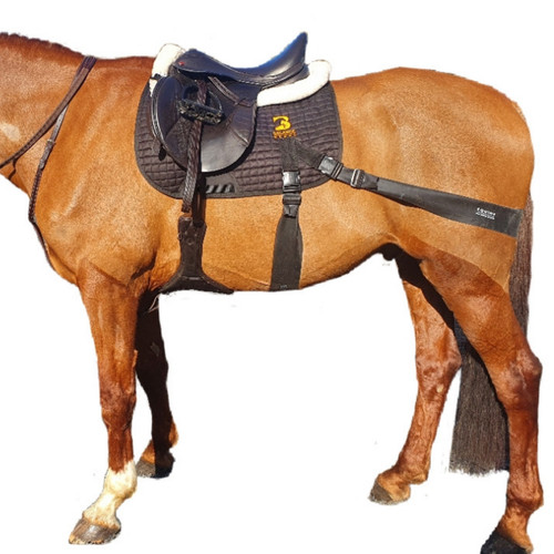 Equine band saddle pad - equine,