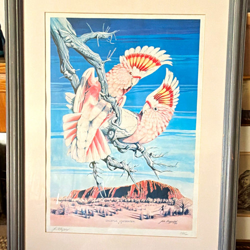 Jim hayward cockatoo bird - cockatoo,