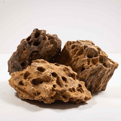 Dragon stone pieces - stone,