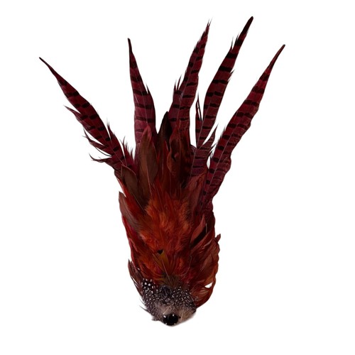 Pheasant feather womens - pheasant,