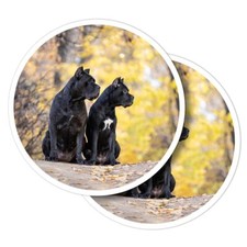2x Vinyl Stickers Cane Corso