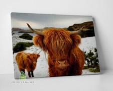 HIGHLAND COWS Brown Canvas Art