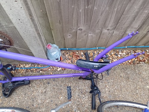 Raleigh mirage stunning violet - raleigh,
