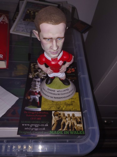 Shane williams player the - player,