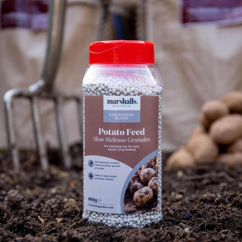 Potato feed concentrated - feed,