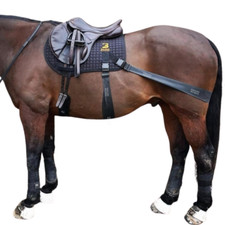 Equine Band System Pro (Jump)