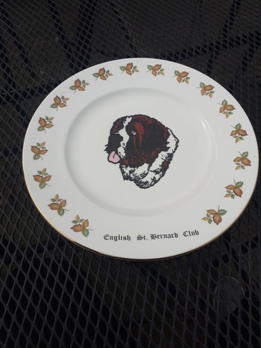 English bernard club plate - english, st