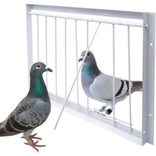 Removable Trap Door Bird Cage