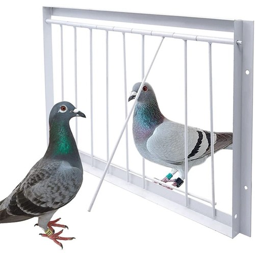 Removable trap door bird - removable, cage