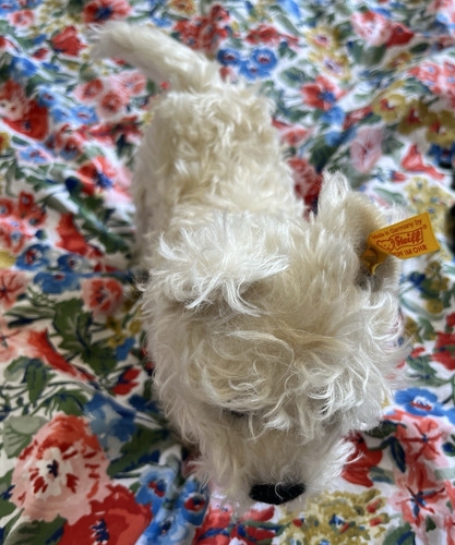 Steiff white plush dog soft - steiff,
