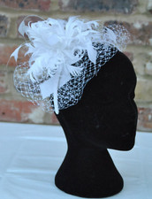 Marc Taylor FASCINATOR  on