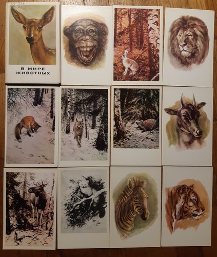 Lot russian postcard set - lot,