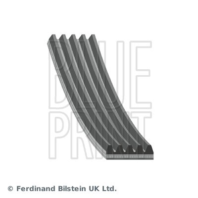 Ribbed belt blue print - v-ribbed,