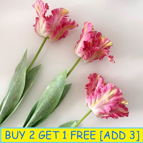 New silk parrot tulip - silk, 3d