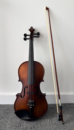 Zest electro natural acoustic - zest,