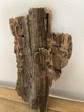 18cm SCULPTED FLAT ish DRIFTWOOD CHARACTER PIECE Sea Wood Art Coast Natural