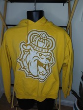 Vintage, Mens Champion Hoodie