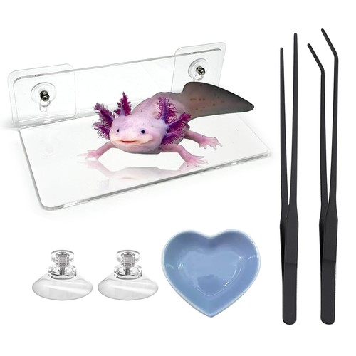 Pcs axolotl tank - axolotl,