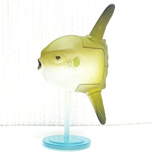 Kaiyodo choco egg mola - 2,