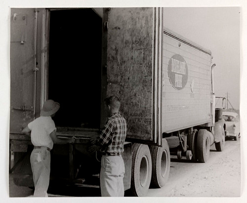 1960s fruit fly inspection - 1960s,