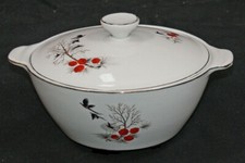 Alfred Meakin GLO WHITE dinner