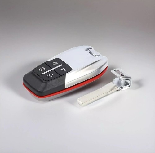 Button remote key - key, with
