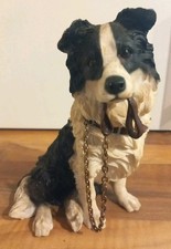 Border Collie Dog Black and