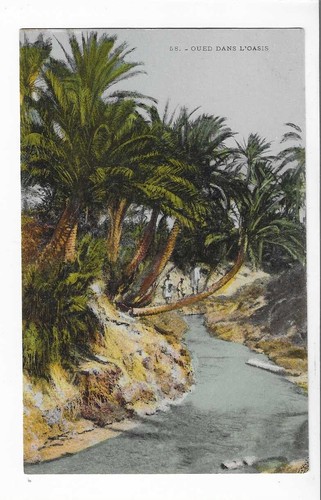 Scenes and types - and,