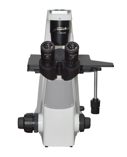 Inverted medical phase - inverted,