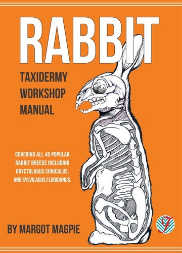 Rabbit taxidermy workshop - -, a