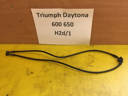 Triumph daytona 600 - daytona,