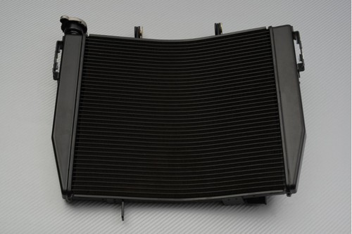 Oem type water radiator for - type,