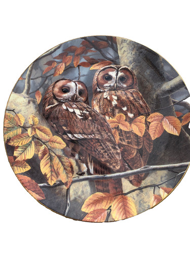 Royal doulton british owls - royal,