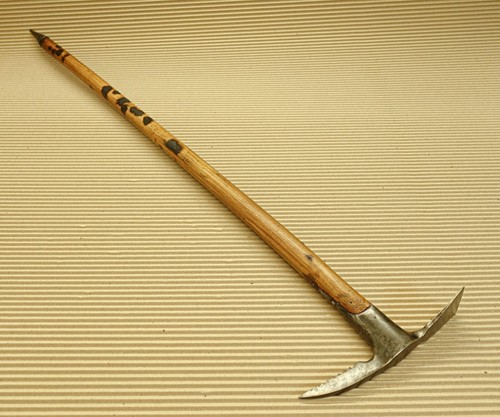 Wooden walking stick cane ice - walking,