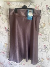 BNWT Size 10 Next Skirt