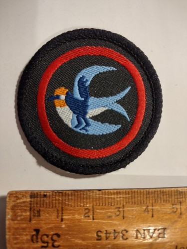 Vintage girl guide - vintage,