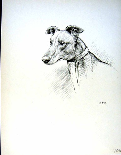 Antique old print c1933 - print,