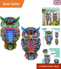 2-Pack Colorful Owl Wall Art