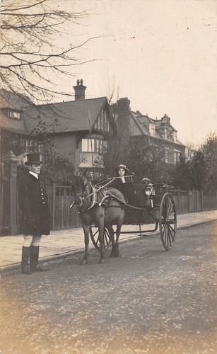 Postcard ilfracombe pony - postcard,