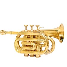 Compact vintage gold - vintage, finish