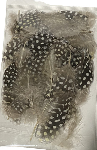 Guinea fowl feathers natural - fowl,